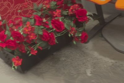 GIF